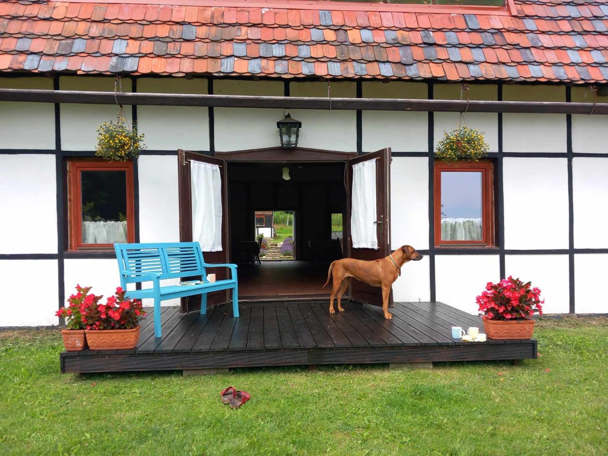 Austeria Staniszów Vila Jelenia Góra Exterior foto